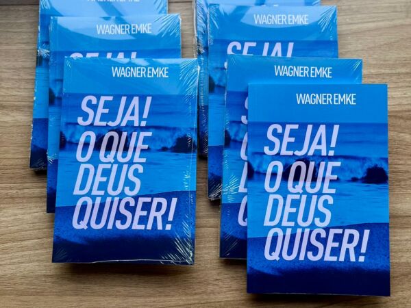LIVRO: SEJA O QUE DEUS QUISER - Imagem 3